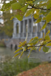 Similar image 22190389