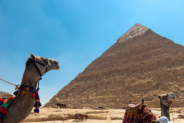 Similar image 22190411