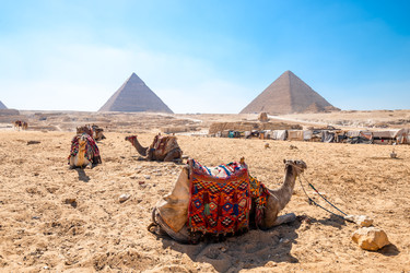 Similar image 22190416