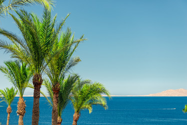 Similar image 22190421