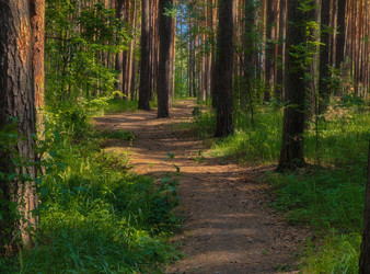 Similar image 22192889