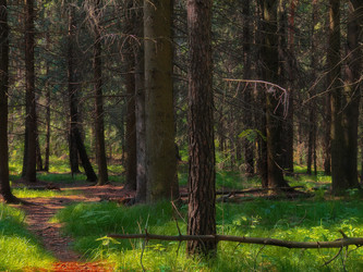 Similar image 22192890