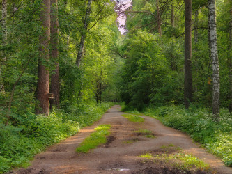 Similar image 22192892