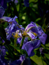 Similar image 22194297