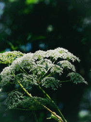 Similar image 22194298