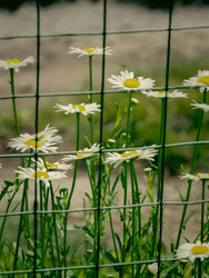 Similar image 22194299