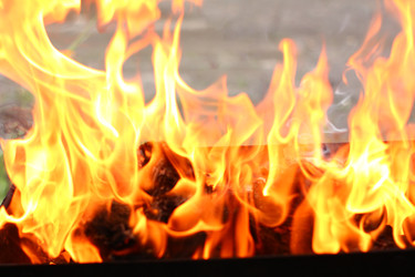 Similar image 22193602