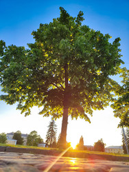 Similar image 22194317