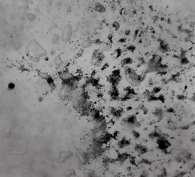 Similar image 22194319