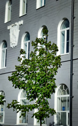 Similar image 22194424