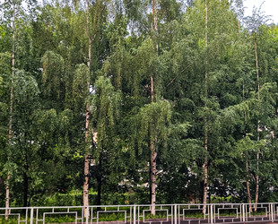 Similar image 22194434