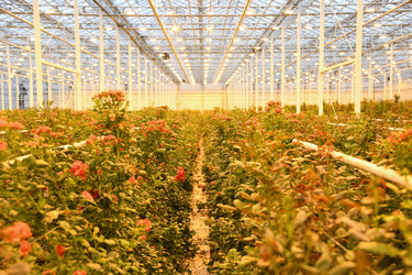 Similar image 22189867