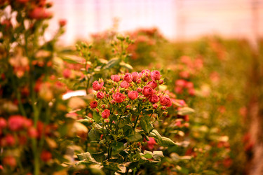 Similar image 22189869