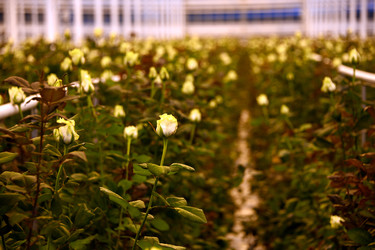 Similar image 22189870