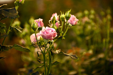 Similar image 22189871