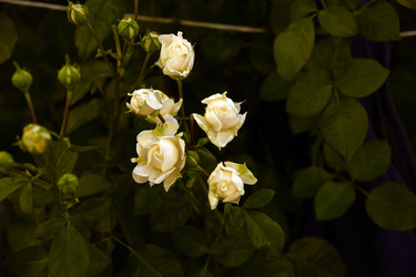 Similar image 22189872