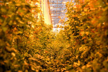 Similar image 22189873