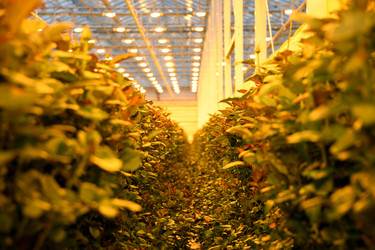 Similar image 22189875