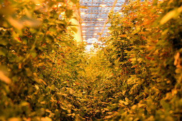 Similar image 22189876