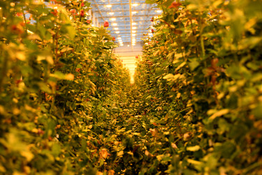 Similar image 22189877