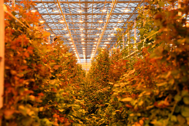 Similar image 22189878