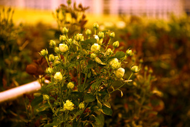 Similar image 22189879