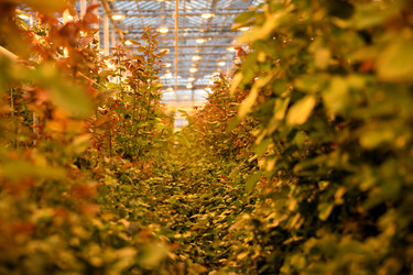 Similar image 22189880