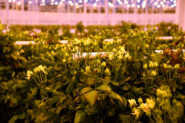 Similar image 22189881