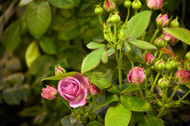 Similar image 22189882