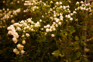 Similar image 22189885