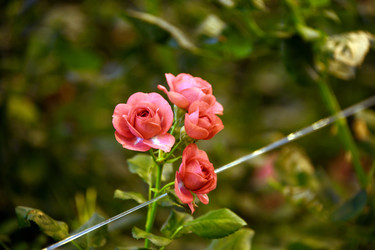 Similar image 22189886