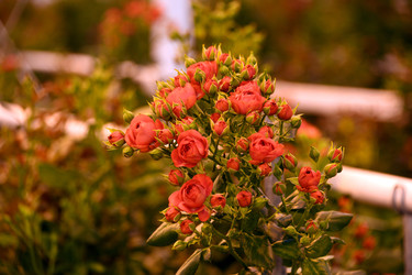 Similar image 22189887