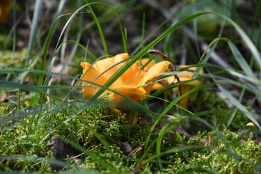 Similar image 22193772