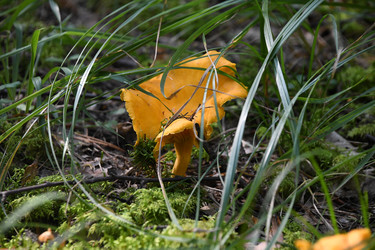 Similar image 22193773