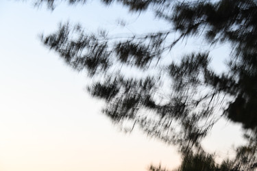 Similar image 22193774