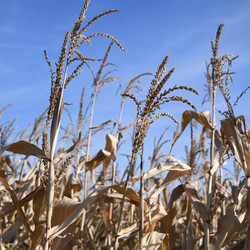 Similar image 22193775