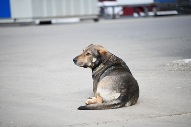 Similar image 22189894