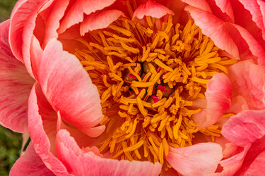 Similar image 22191774