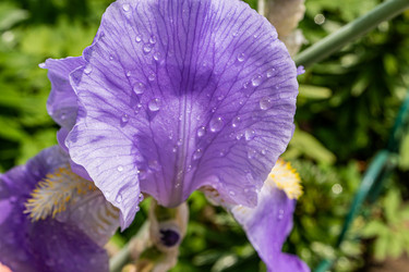 Similar image 22191776