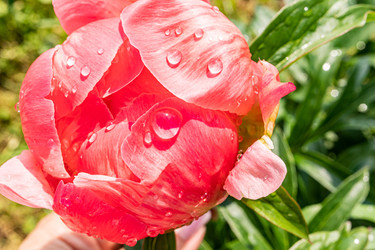 Similar image 22191777