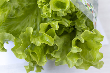 Similar image 22191789