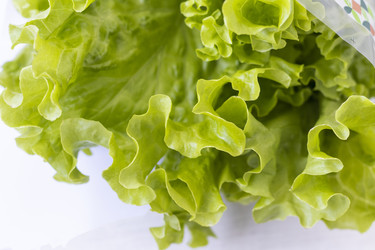 Similar image 22191790