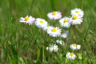 Similar image 22190489