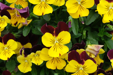 Similar image 22190492