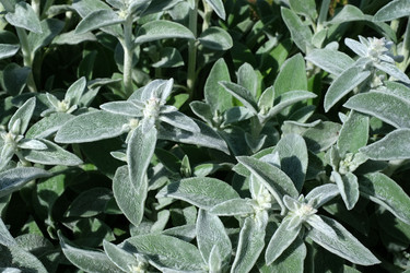 Similar image 22190494