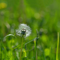 Similar image 22190495