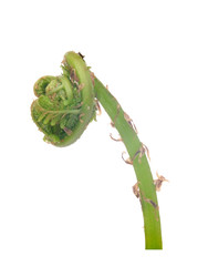 Similar image 22190498