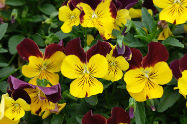 Similar image 22190499