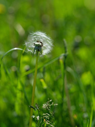 Similar image 22190503