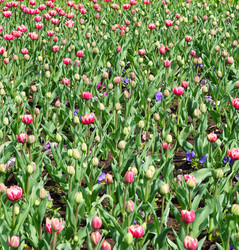 Similar image 22190511